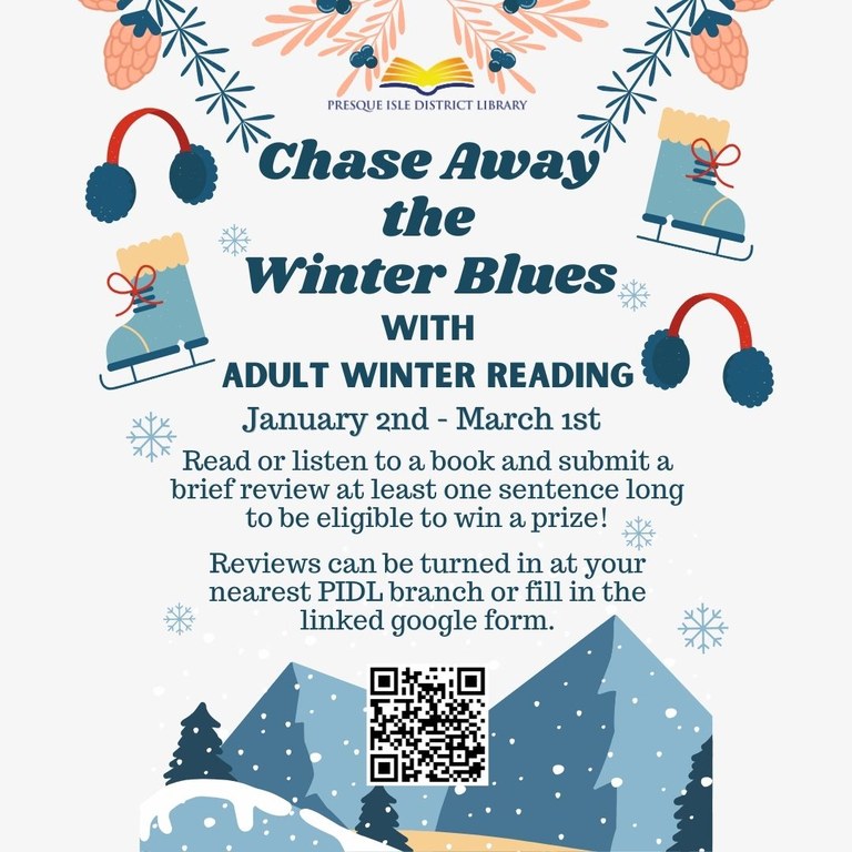 Adult Winter Reading Flyer IG.jpg