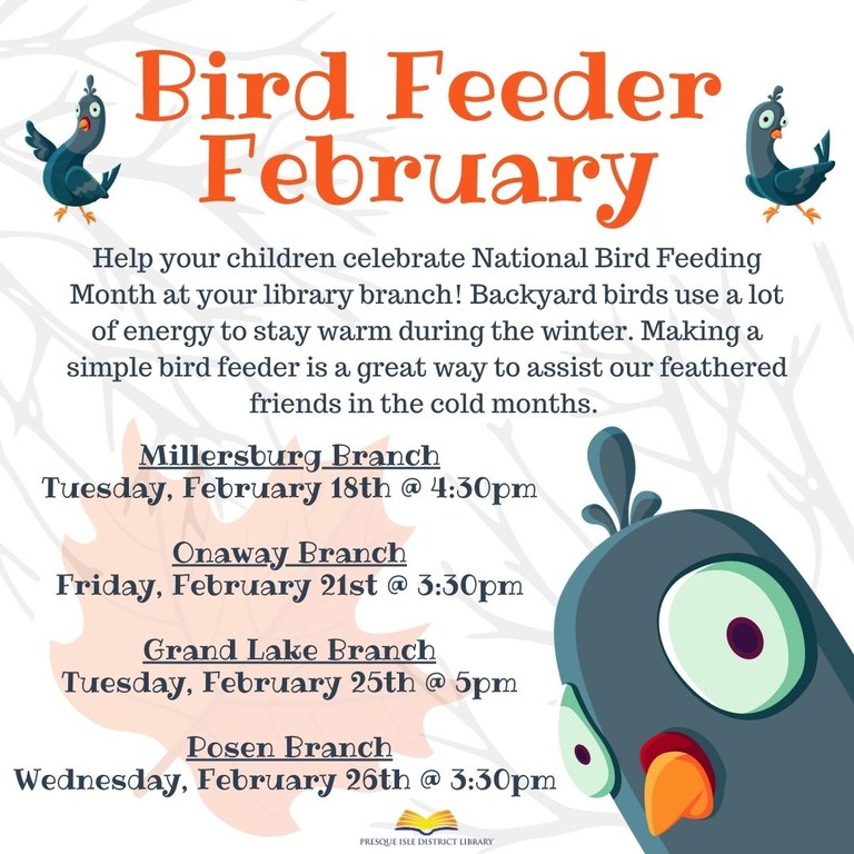 bird feeder february 25.jpg