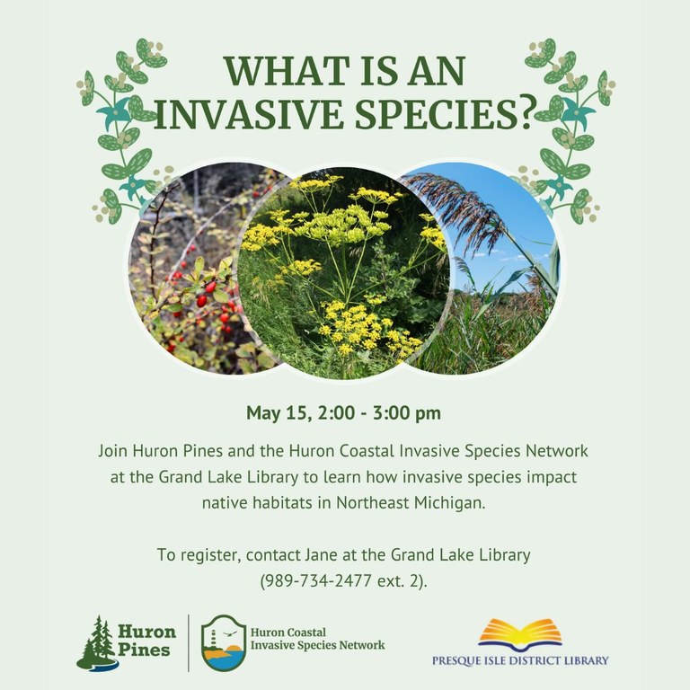 GL Invasives with Huron Pines IG .jpg