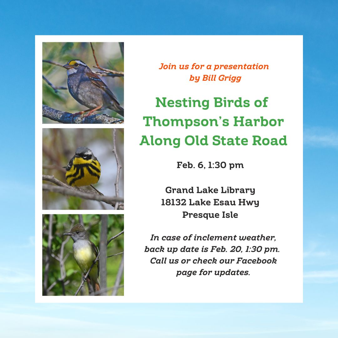 GL Nesting Birds of Thompson's Harbor Instagram Post.jpg