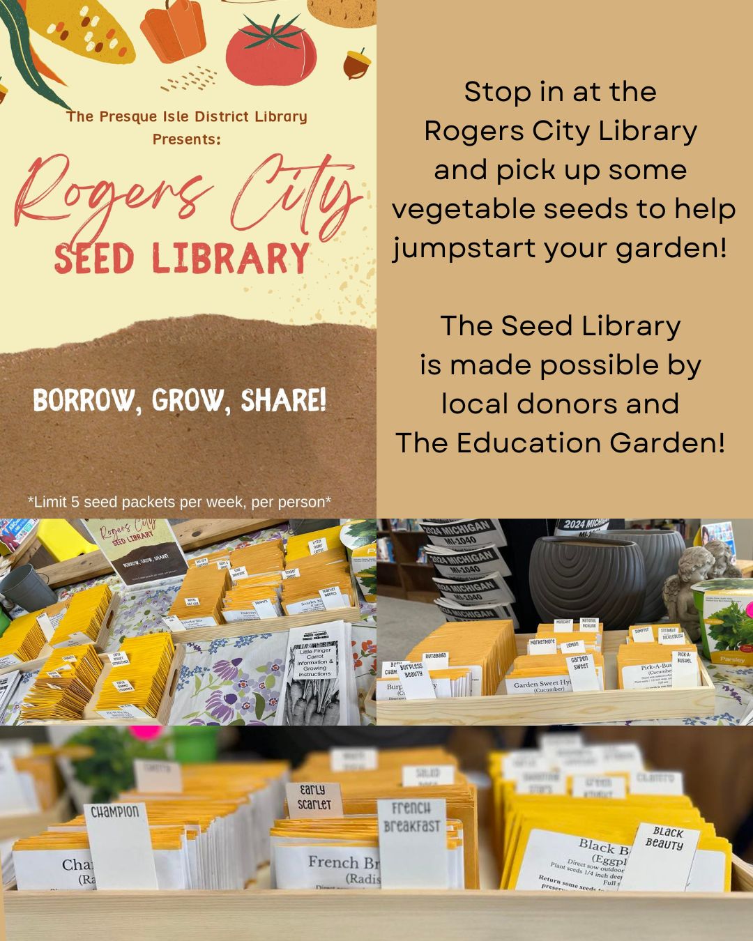Seed Library FB IG Advert.jpg