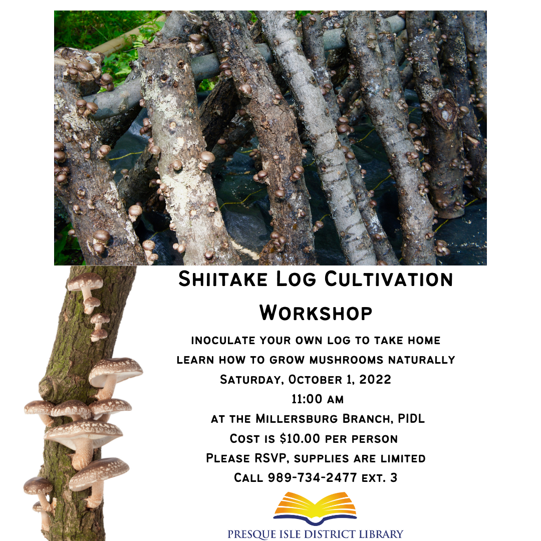 shiitake log IG .png