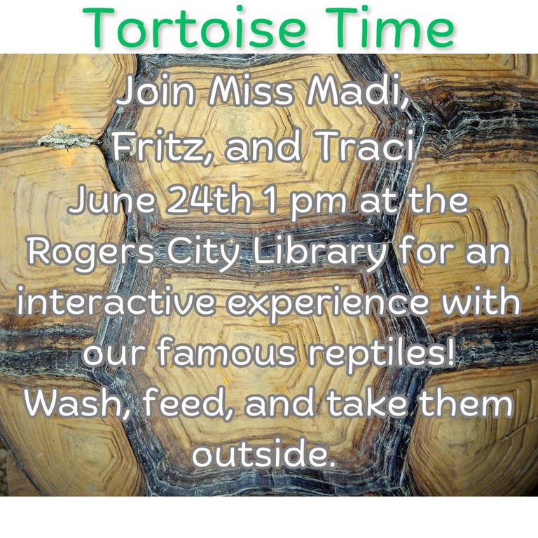 Tortoise Time.jpg